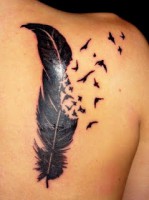 /album/galleria-foto-lasciati-ispirare-/feather-tattoo-on-sholder01-jpg/